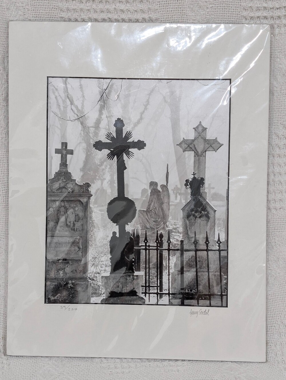 Garry Seidel Fine Art Photography "Morning In The Garden Of Good And Evil" Print